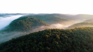 Photo by John Modaff on Unsplash