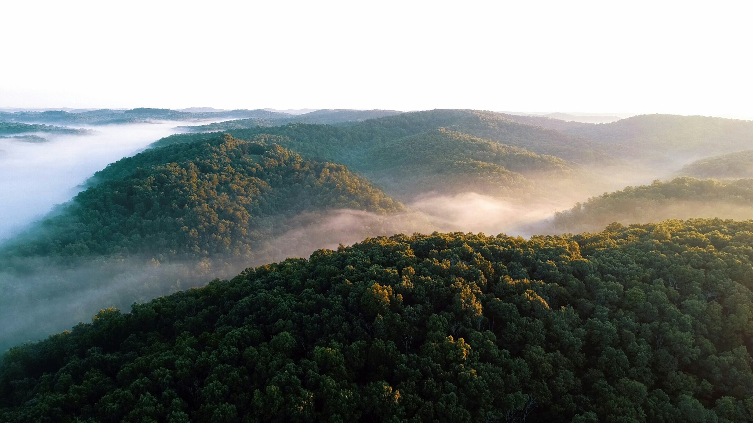 Photo by John Modaff on Unsplash